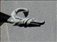DSCN1564