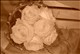 CIMG0602
