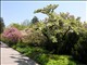 DSCN1158