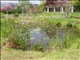 DSCN1181