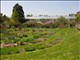 DSCN1182