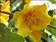 DSCN1184