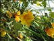 DSCN1185