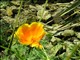 DSCN1186