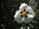 DSCN1191