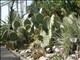 DSCN1194