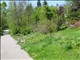 DSCN1196