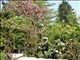 DSCN1202