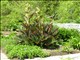DSCN1204