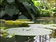 DSCN1208