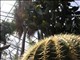 DSCN1212