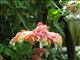 DSCN1228