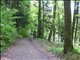 DSCN1328