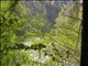 DSCN1346