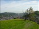 DSCN1377