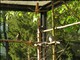 DSCN1536