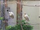 DSCN1537