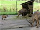 DSCN1096