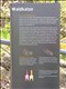 DSCN1125