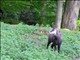 DSCN1428