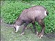 DSCN1429