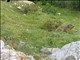 DSCN1435