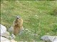 DSCN1438
