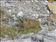 DSCN1439