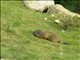 DSCN1440