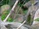 DSCN1452