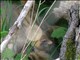 DSCN1457