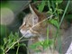 DSCN1461