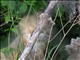 DSCN1465