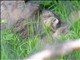 DSCN1468