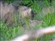 DSCN1469