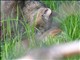 DSCN1470