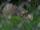 DSCN1476